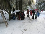 Zakrmení zvěře 2011